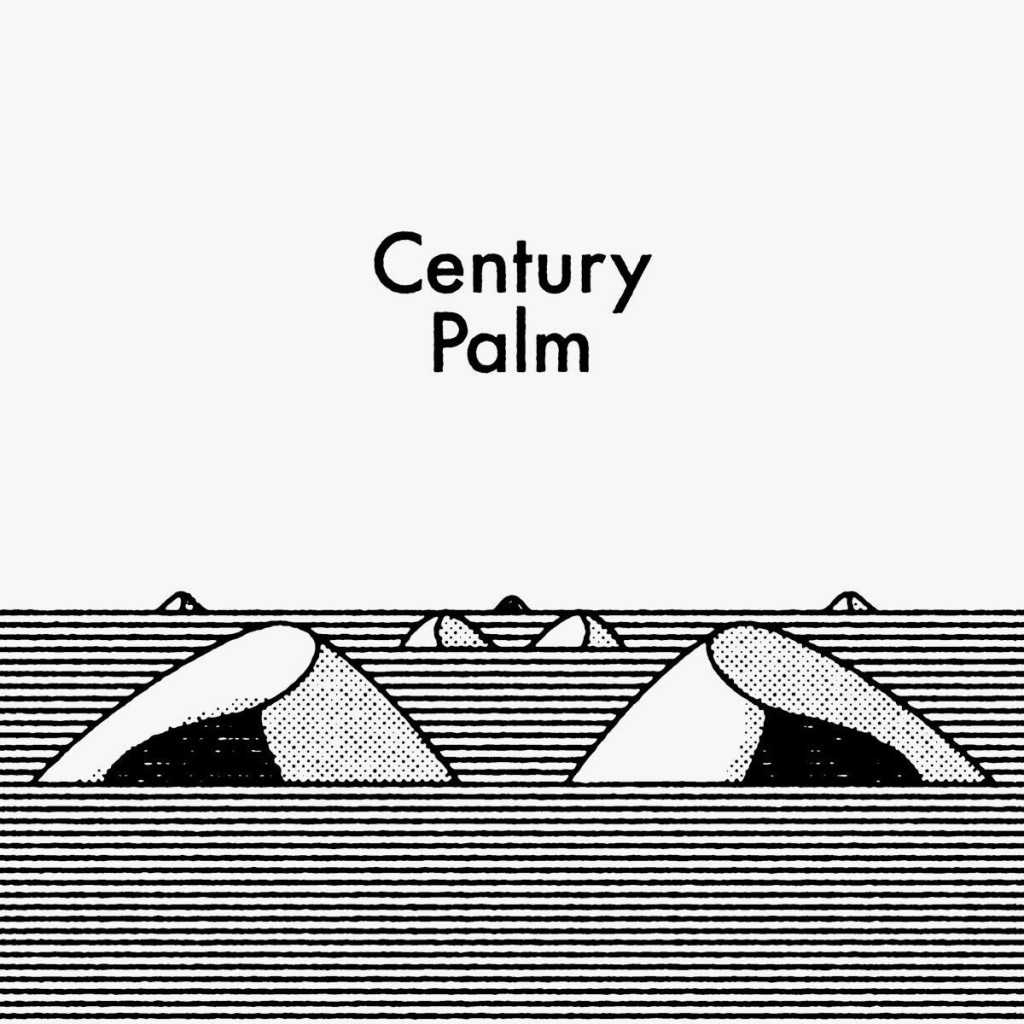 century palm